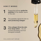 Collagen M/P Serum